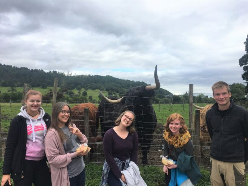 From Balloch: Loch Lomond National Park Tour With 2 Walks - What to Bring