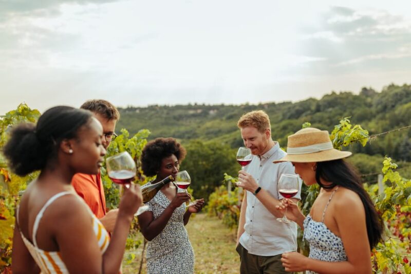 From Baltimore: Patapsco Region Wine Tour With Lunch - Experience Highlights
