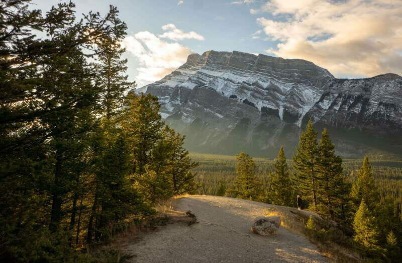 From Banff: Banff Wildlife & Scenic Highlights Premium Tour - The Itinerary and What You Can Expect