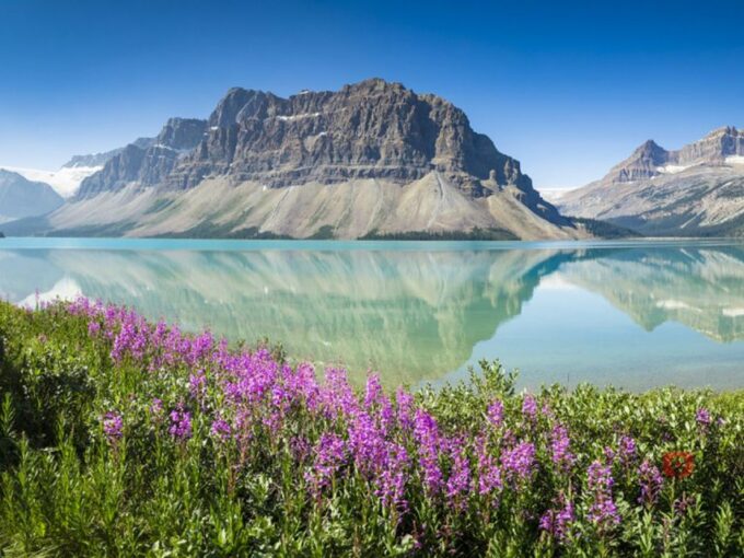 From Banff: Canadian Rockies Scenic Driving Tour Adventure - Planning Your Canadian Rockies Adventure