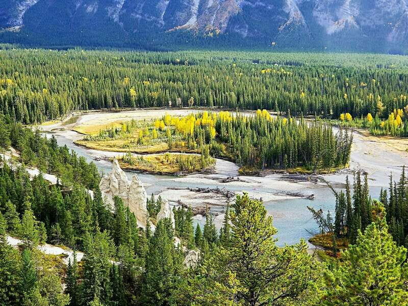 From Banff/Canmore: Deep 1 Day Tour in Banff National Park - Key Points