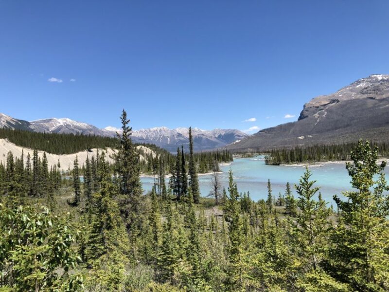 From Banff: Icefield Parkway Scenic Tour With Park Entry - Itinerary Highlights