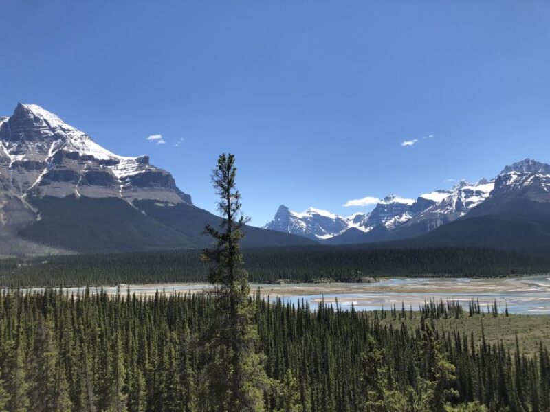 From Banff: Icefield Parkway Scenic Tour With Park Entry - Park Entry and Fees