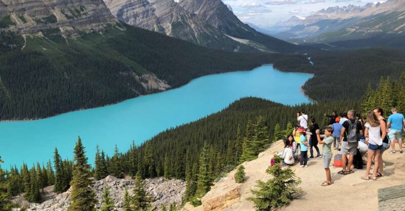 From Banff: Icefield Parkway Scenic Tour With Park Entry - Transportation and Pickup