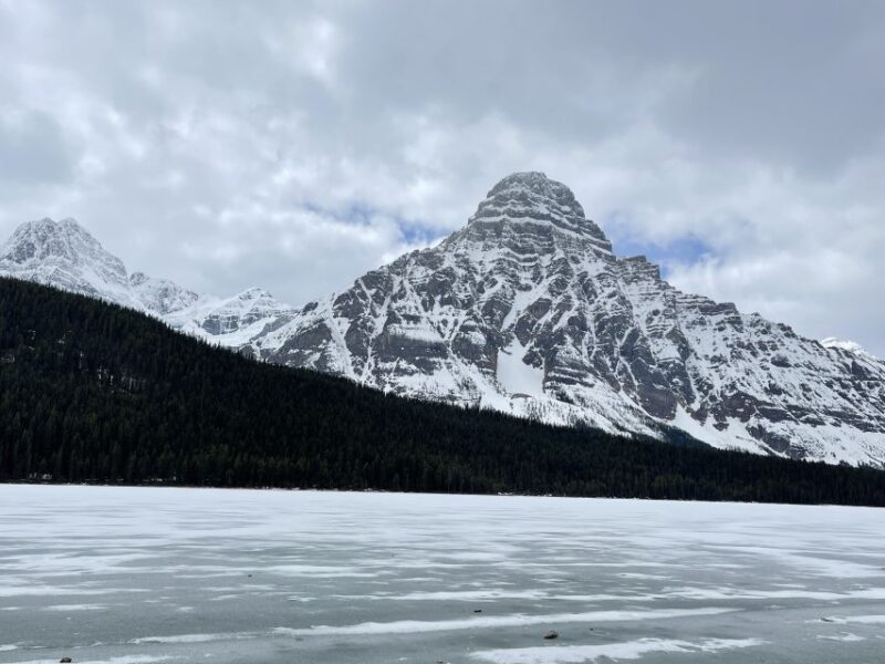 From Banff: Icefield Parkway Scenic Tour With Park Entry - Cancellation Policy
