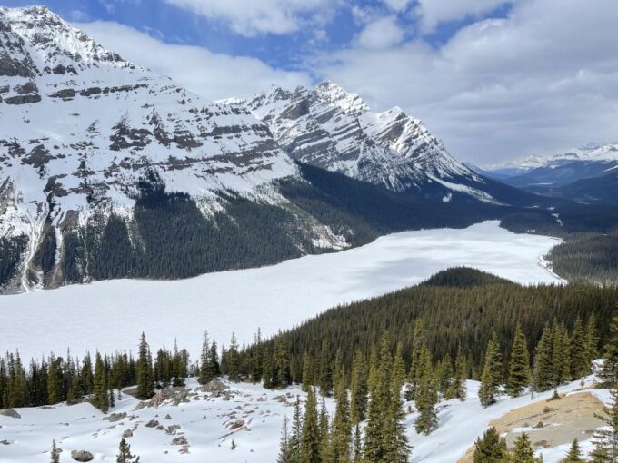 From Banff: Icefield Parkway Scenic Tour With Park Entry - Booking Information