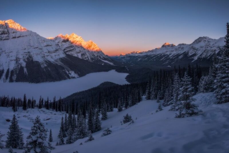 From Banff: Icefields Parkway & Abraham Lake Ice Bubbles - Experience and Activities