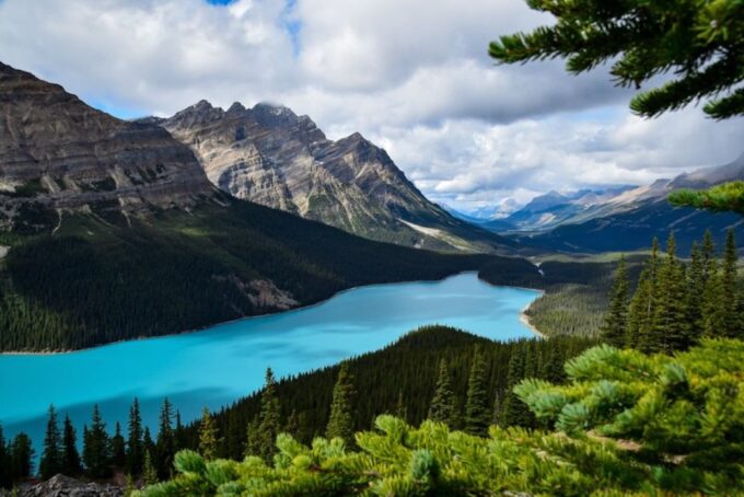 From Banff: Icefields Parkway Small Group Adventure - Customer Reviews Feedback