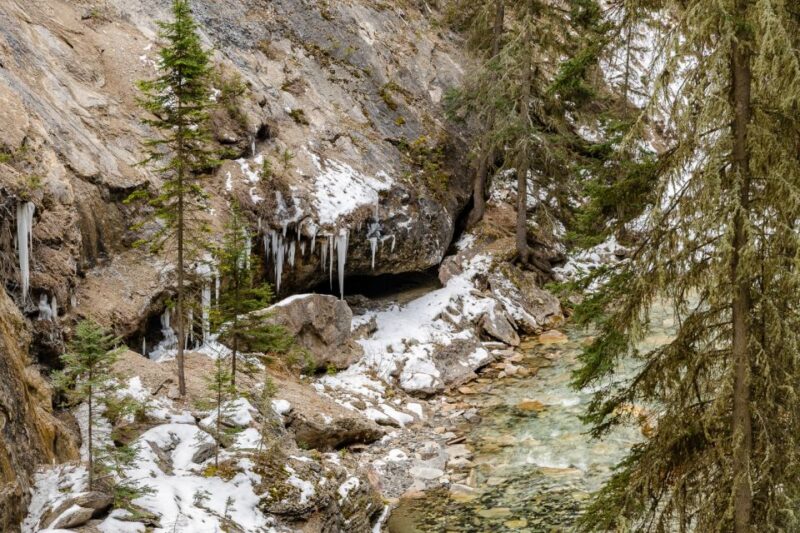 From Banff: Johnston Canyon Guided Icewalk - Experience Highlights
