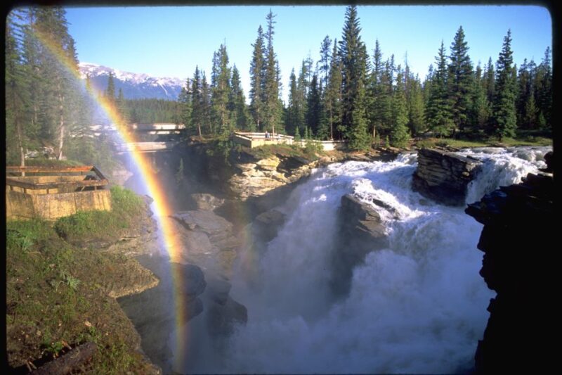 From Banff/Lake Louise: 1-Way Sightseeing Tour to Jasper - Itinerary and Highlights