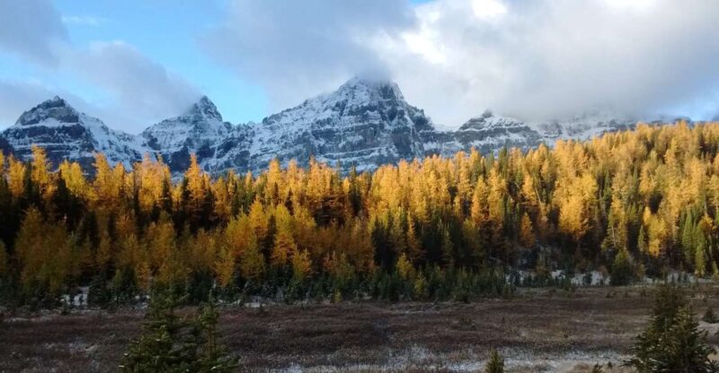 From Banff or Lake Louise: Moraine Lake & Larch Valley Hike - Highlights of the Experience