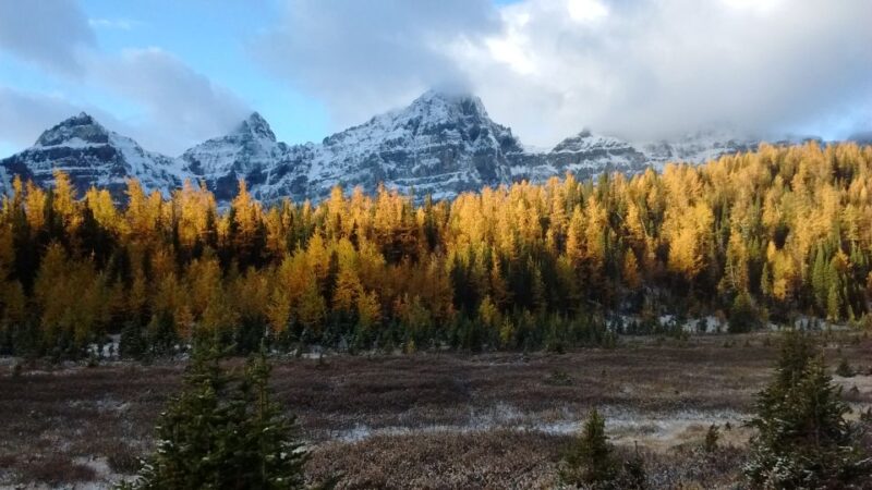 From Banff or Lake Louise: Moraine Lake & Larch Valley Hike - Limitations and Unsuitable Participants