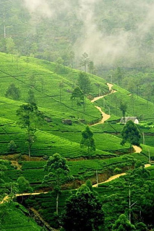 From Bangalore: 03 Days, Ooty Hill Station Luxurious Tour - Key Points
