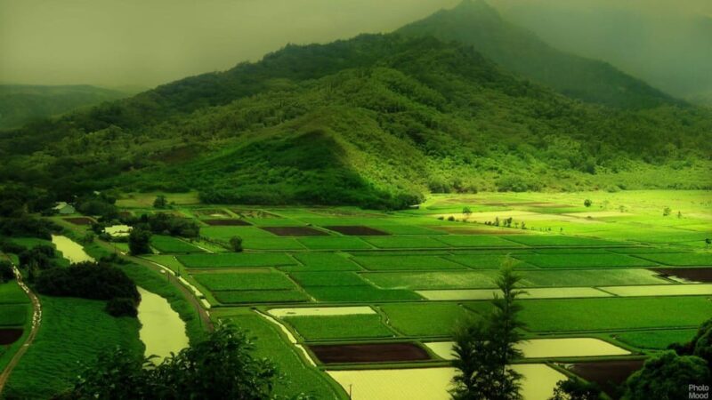 From Bangalore: 03 Days, Ooty Hill Station Luxurious Tour - Itinerary Highlights
