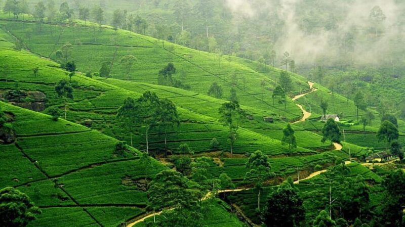 From Bangalore: 03 Days, Ooty Hill Station Luxurious Tour - Transportation and Transfers