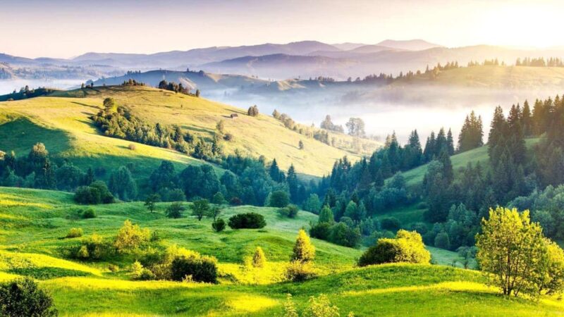 From Bangalore: 03 Days, Ooty Hill Station Luxurious Tour - Optional Activities and Excursions