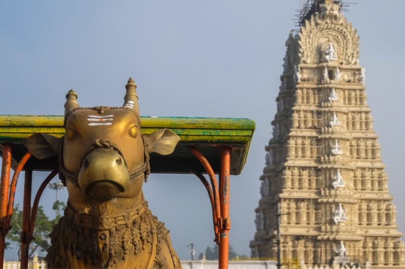 From Bangalore: Mysore Guided Day Tour With Transfers - Booking Information