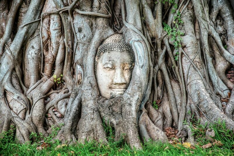 From Bangkok: Ayutthaya & Ayothaya Floating Market Day Trip - Additional Temples and Return to Bangkok