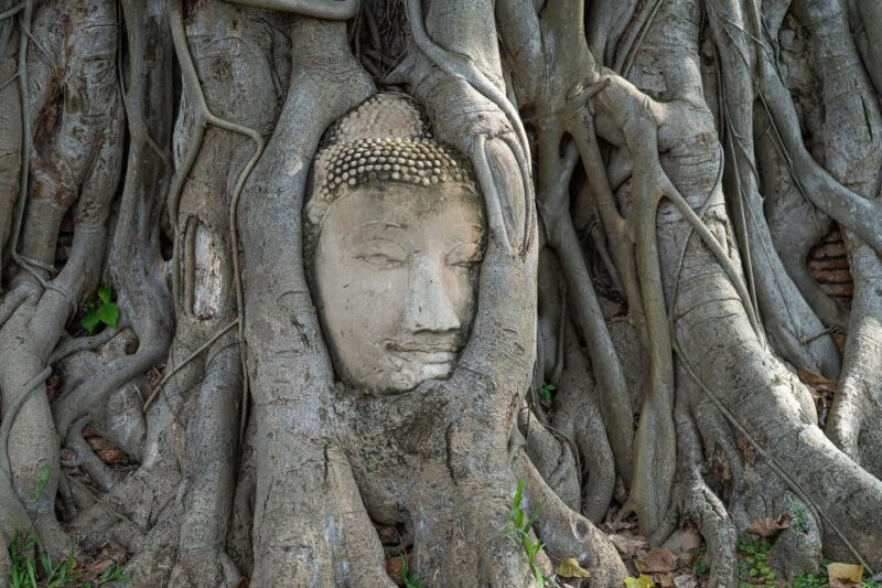 From Bangkok: Ayutthaya Day Tour Small Group - Key Points