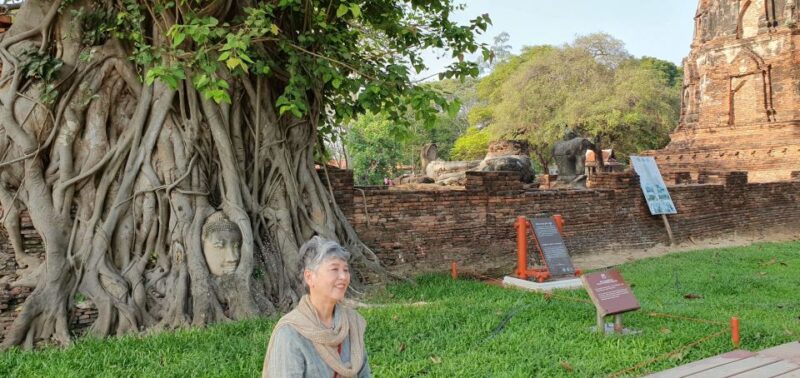From Bangkok: Ayutthaya & Khao Yai National Park Day Trip - Trip Inclusions