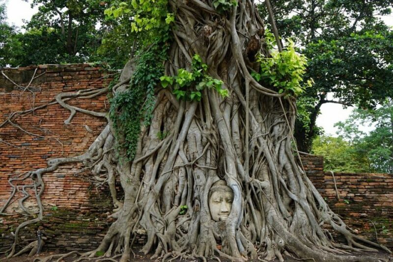 From Bangkok: Ayutthaya & Khao Yai National Park Day Trip - What to Bring