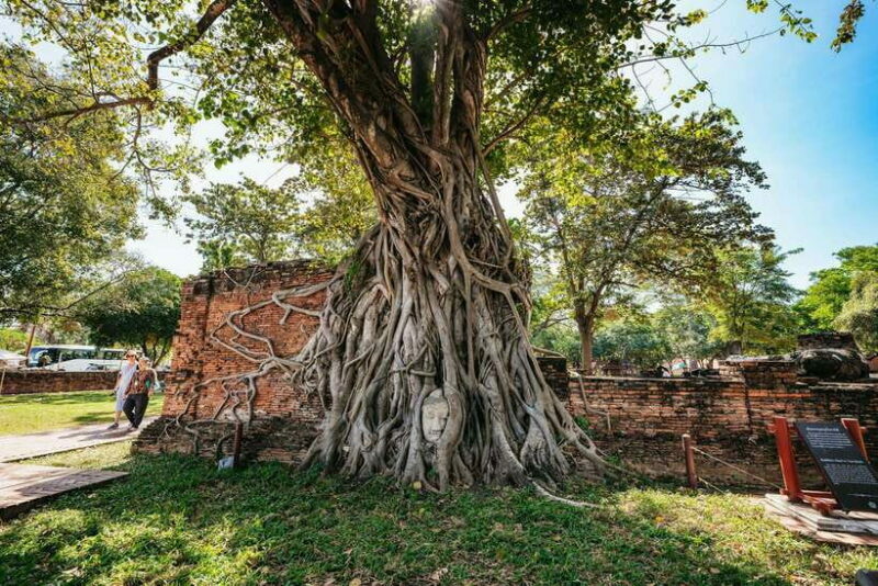 From Bangkok: Ayutthaya Temples Guided Tour with Lunch - Final Thoughts