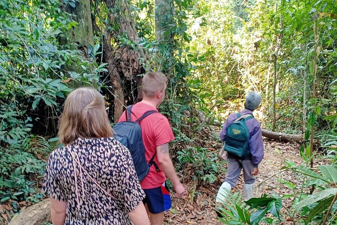 From Bangkok: Discover Khao Yai National Park Full Day - The Birders Lodge