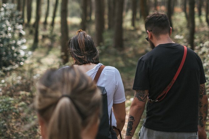 From Bangkok: Discover Khao Yai National Park Full Day - Customer Feedback and Ratings
