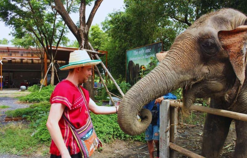 From Bangkok: Elephant Park Tour with Feeding & Mud Spa - Key Points