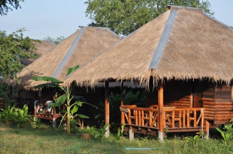 From Bangkok: ElephantsWorld Kanchanaburi 2-Day Experience - Transportation and Transfers