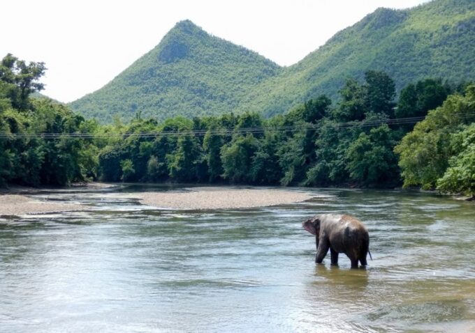 From Bangkok: ElephantsWorld Kanchanaburi 2-Day Experience - Customer Reviews and Ratings