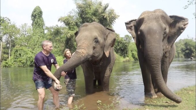 From Bangkok: ElephantsWorld Kanchanaburi 2-Day Experience - Frequently Asked Questions