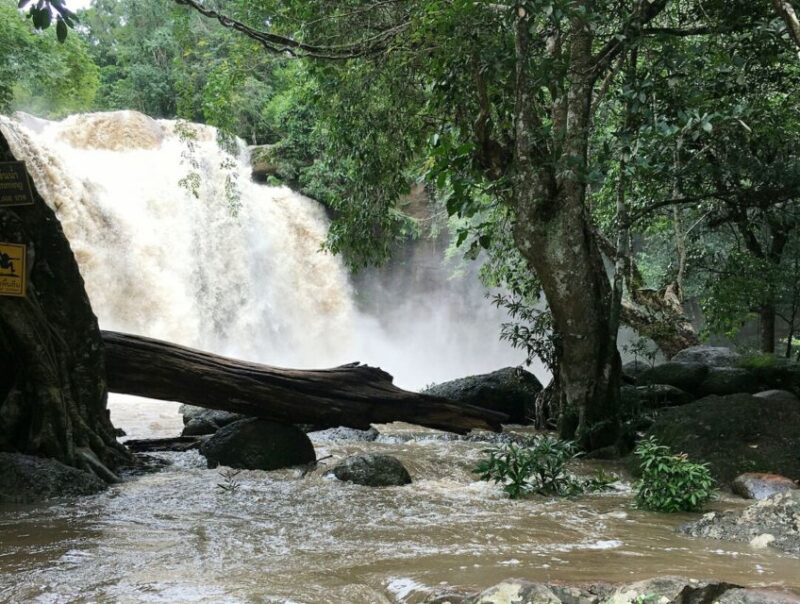 From Bangkok: Khao Yai National Park Jungle Trek With Lunch - Key Points