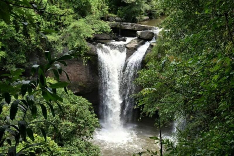 From Bangkok: Khao Yai National Park Jungle Trek With Lunch - Itinerary and Experience