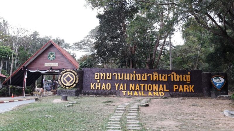 From Bangkok: Khao Yai National Park Jungle Trek With Lunch - Inclusions and Exclusions