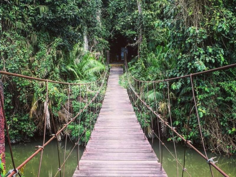 From Bangkok: Khao Yai National Park Jungle Trek With Lunch - Prohibited Activities