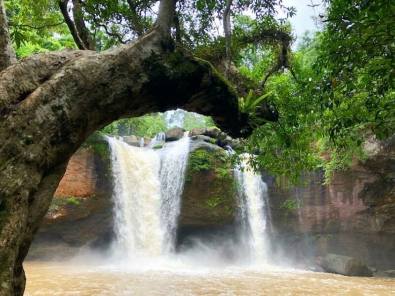 From Bangkok: Khao Yai National Park Jungle Trek With Lunch - Participant Requirements