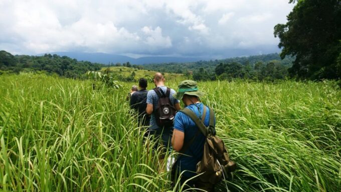 From Bangkok: Khao Yai National Park Jungle Trek With Lunch - Tour Accessibility