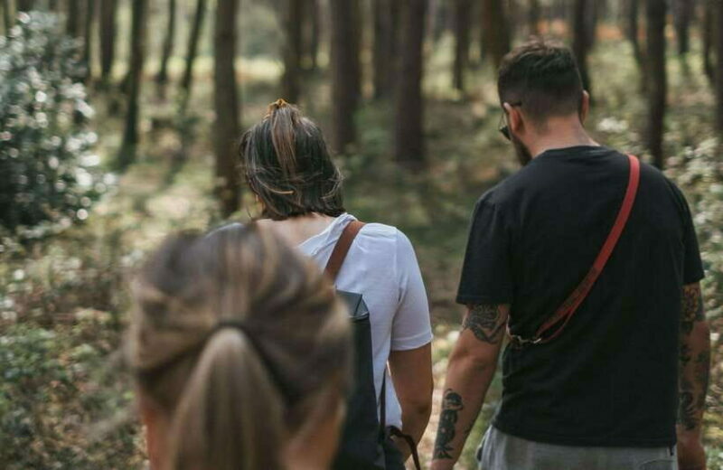 From Bangkok: Khao Yai National Park Small-Group Day Trip - Who Should Consider This Tour?