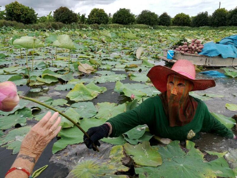 From Bangkok: Mahasawat Canal and Farm With Lunch - Not Included in the Tour