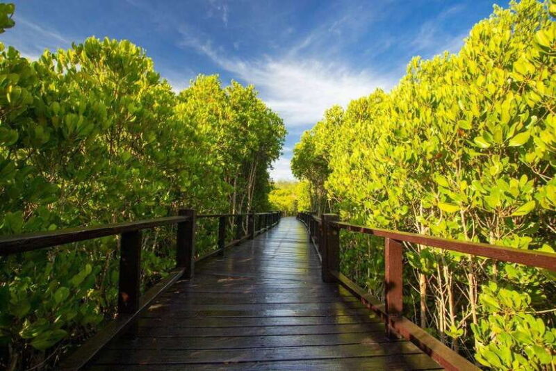 From Bangkok or Hua Hin: Hua Hin Tour With Private Charter - Inclusions and Exclusions