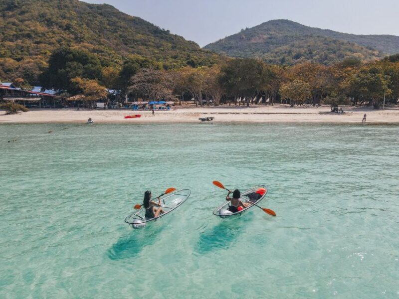 From Bangkok: Pattaya Island Trip With Drone Photos - Feeding Island Geese