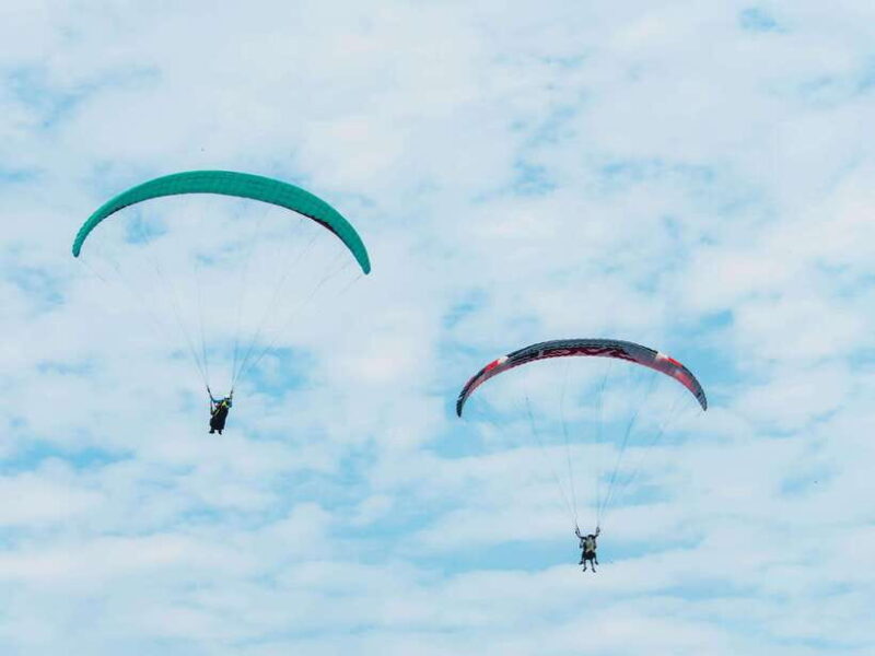 From Bangkok: Pattaya Koh Larn & Sanctuary of Truth Day Trip - Customer Reviews and Highlights