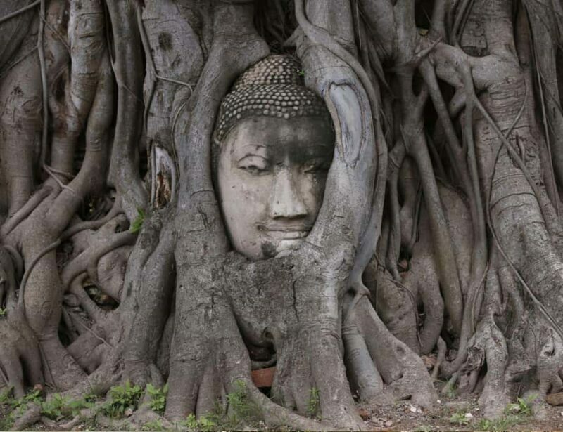 From Bangkok: Private Guided Tour of Ayutthayas 6 Temples - The Practicalities and What You’ll Get