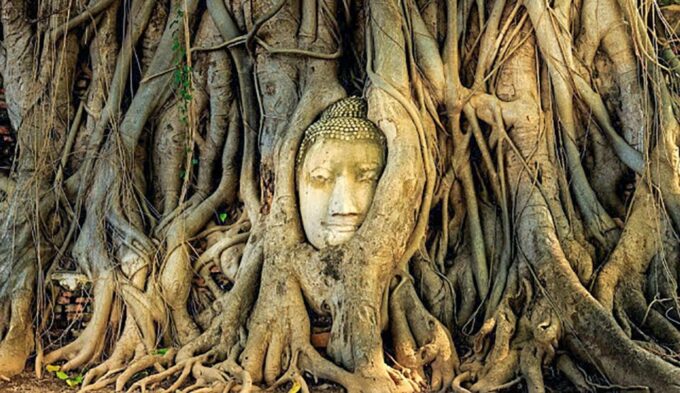 From Bangkok: Tour Ayutthaya + Lunch + Spanish Guide - Meeting Point and Arrival