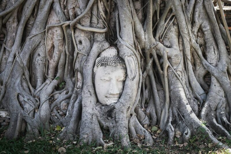 From Bangkok: UNESCO Ayutthaya Historical Park Full-Day Tour - Pickup and Drop-off Information