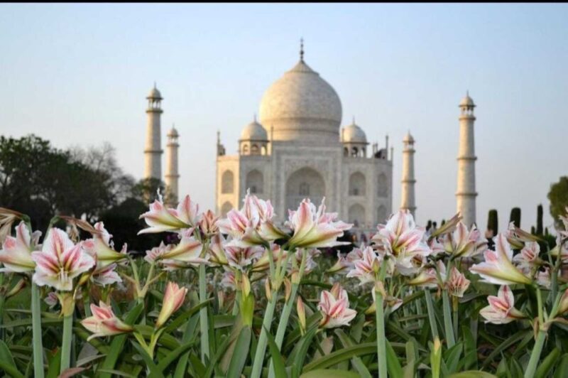 From Banglore: Private Guided Tajmahal Day Trip With Lunch - Key Points