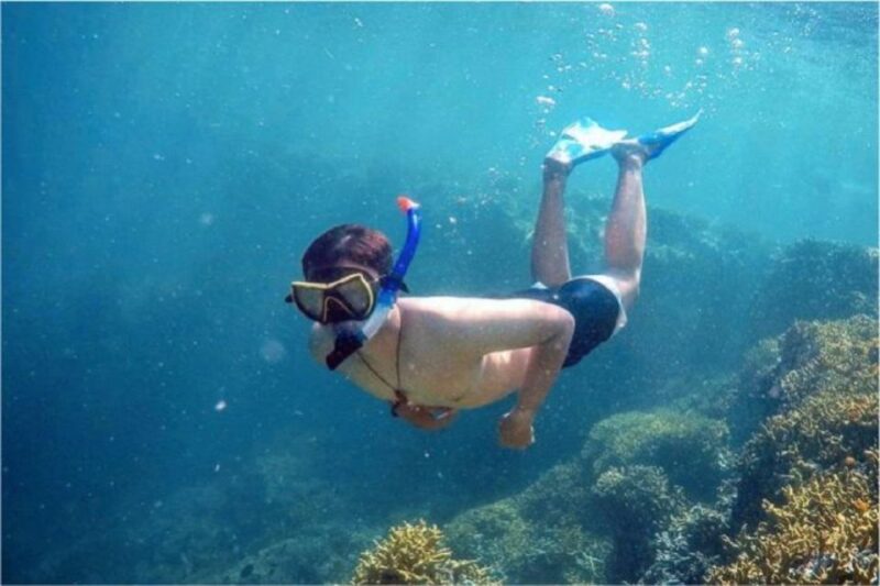 From Banyuwangi: A Private Tour Menjangan & Tabuhan - Itinerary Details