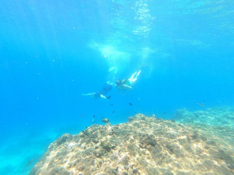 From Banyuwangi: A Private Tour Menjangan & Tabuhan - Inclusions