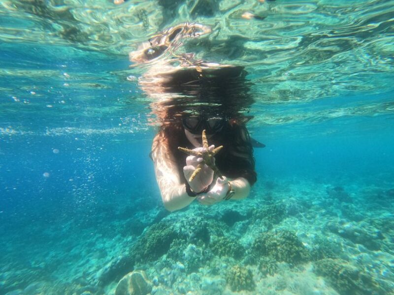 From Banyuwangi: A Private Tour Menjangan & Tabuhan - Pickup and Drive